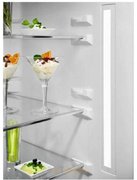 Холодильник Electrolux RNT7ME34K1 фото 3 в Новосибирске