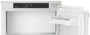 Встраиваемый холодильник Liebherr IRe 4021 Plus фото 3 в Новосибирске
