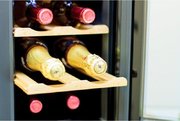 Винный шкаф Cold Vine BCW-25C фото 4 в Новосибирске