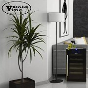 Винный шкаф Cold Vine C18-TBF1 фото 3 в Новосибирске
