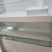 Холодильник Kaiser KS 80420 RS фото 4 в Новосибирске