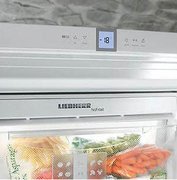 Холодильник Liebherr ICUNS 3023 фото 3 в Новосибирске