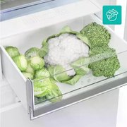 Холодильник Gorenje RK4181PS4 фото 4 в Новосибирске