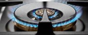 Газовая варочная панель Bertazzoni CB36500X фото 3 в Новосибирске