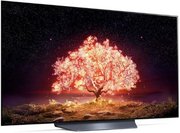 Телевизор LG OLED55B1RLA фото 2 в Новосибирске