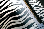 Вытяжка Falmec Mirabilia 67 Zebra Vetro (800) ECP фото 2 в Новосибирске