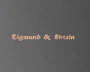 Пароварка Zigmund Shtain EN 100.511 B фото 3 в Новосибирске