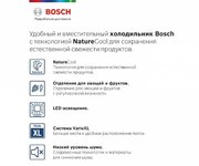 Холодильник с нижней морозильной камерой BOSCH KGE39XL22R фото 2 в Новосибирске