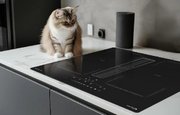 Индукционная варочная панель Zigmund Shtain CIS 303.60 BX с вытяжкой фото 4 в Новосибирске
