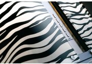 Вытяжка Falmec Mirabilia Isola 67 Zebra Vetro (800) ECP фото 2 в Новосибирске