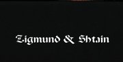 Духовой шкаф Zigmund Shtain EN 121.921 B фото 4 в Новосибирске