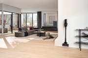 Пылесос Miele SWDL0 Triflex HX3 для уборки шерсти животных Обсидиановый черный (Cat&Dog Obsidian black) фото 4 в Новосибирске