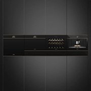 Духовой шкаф комбинированный с микроволновой печью Smeg SF4604PMCNR фото 3 в Новосибирске