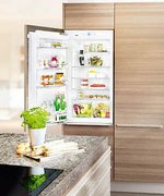 Встраиваемый холодильник Liebherr IK 1950 Premium фото 2 в Новосибирске