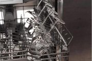Встраиваемая посудомоечная машина Gaggenau DF480100F фото 4 в Новосибирске