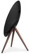 Беспроводная акустическая система Bang & Olufsen Beoplay A9 Smoked Oak фото 3 в Новосибирске