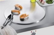 Тепан Miele CT 400 P фото 2 в Новосибирске