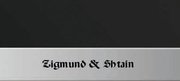 Духовой шкаф Zigmund Shtain EN 59.511 B фото 3 в Новосибирске