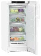 Холодильник Liebherr RBa 4250 фото 2 в Новосибирске