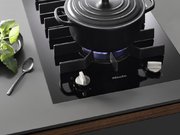 Элемент панели SmartLine Miele CS7102-1 FL фото 4 в Новосибирске