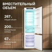 Встраиваемый холодильник Zigmund Shtain BR 25 X фото 4 в Новосибирске