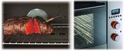 Духовой шкаф Ilve 948-SSXMP фото 3 в Новосибирске