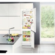 Холодильник Liebherr ICP 3314 фото 3 в Новосибирске