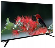 Телевизор Schaub Lorenz SLT43S6550 Телевизор Schaub Lorenz SLT43S6550