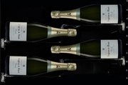 Винный шкаф Dunavox DX-58.258DB фото 3 в Новосибирске