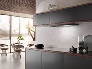 Встраиваемая вытяжка Miele DAS 2920 черный матовый фото 3 в Новосибирске
