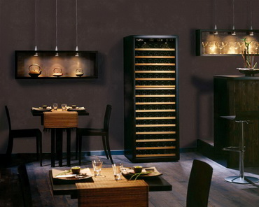 Какой винный шкаф лучше купить: отзывы специалистов в 2021 году Какой винный шкаф лучше купить: отзывы специалистов в 2021 году