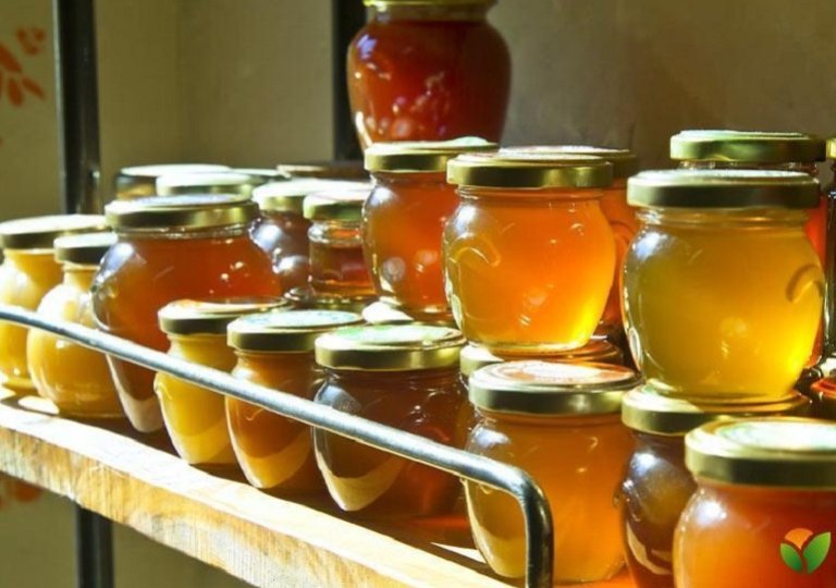 Можно ли, как и сколько хранить мед в холодильнике? Можно ли, как и сколько хранить мед в холодильнике?