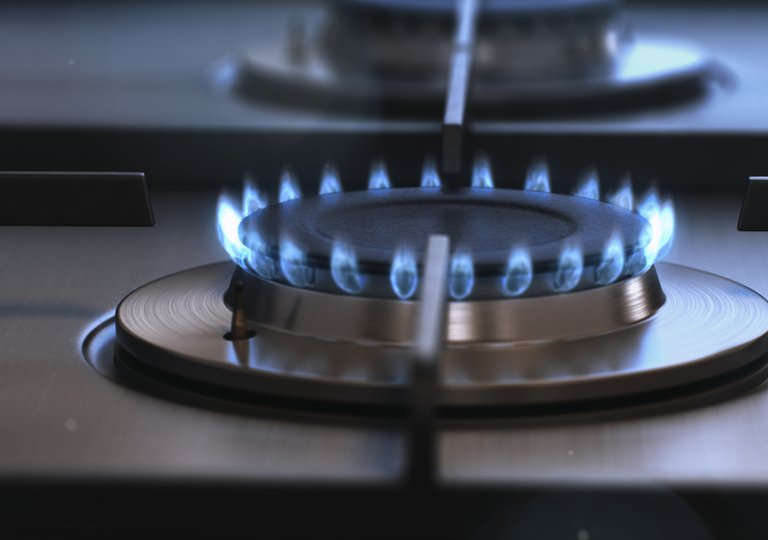 Рейтинг лучших производителей газовых плит Рейтинг лучших производителей газовых плит