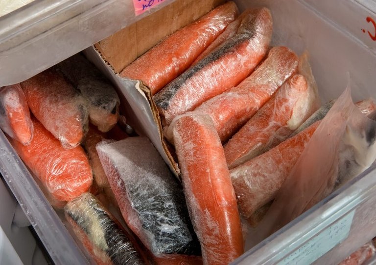 Можно ли, как и сколько хранить красную рыбу в холодильнике? Можно ли, как и сколько хранить красную рыбу в холодильнике?