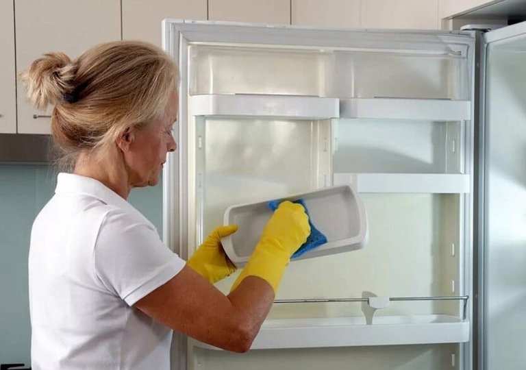 Чем помыть холодильник от плесени Чем помыть холодильник от плесени