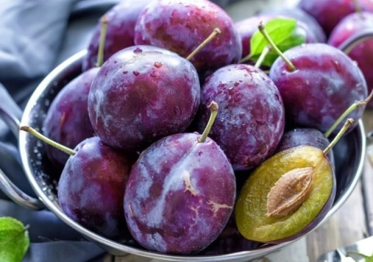 Можно ли, как и сколько хранить сливы в холодильнике Можно ли, как и сколько хранить сливы в холодильнике