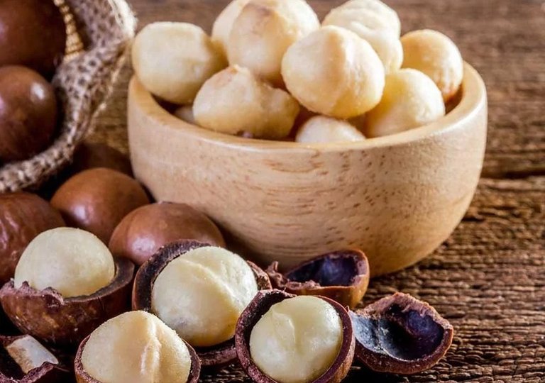 Можно ли, как и сколько хранить макадамию в холодильнике? Можно ли, как и сколько хранить макадамию в холодильнике?