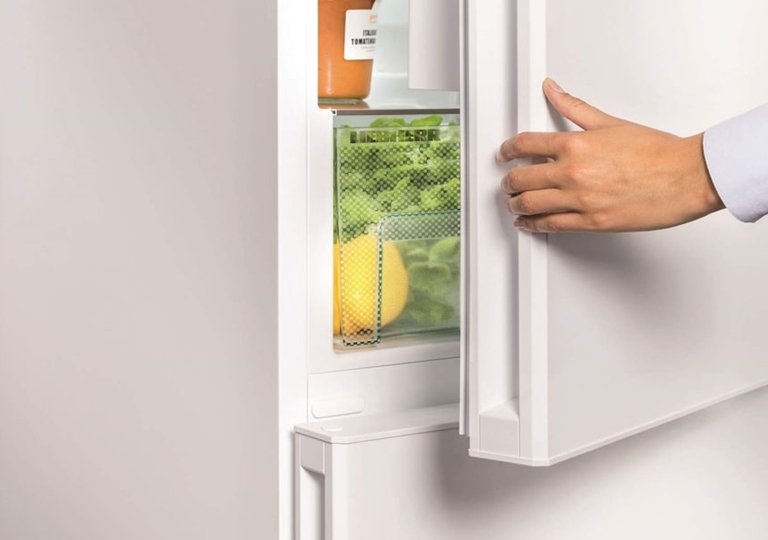 Что делать, если холодильник Liebherr пищит при закрытой двери Что делать, если холодильник Liebherr пищит при закрытой двери