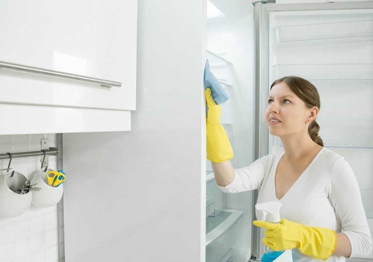 Чем помыть новый холодильник перед первым использованием Чем помыть новый холодильник перед первым использованием