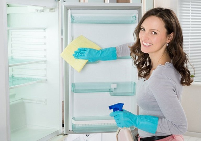 Как правильно помыть холодильник Как правильно помыть холодильник